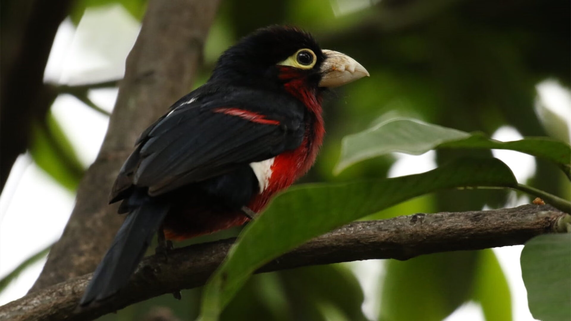 中超防守端多人包夹战术统计,足球包夹防守成功视频案例