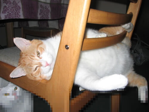 NBA联盟电视转播权谈判与收入分配机制,nba电视转播费