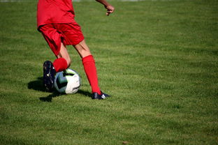 九游电竞平台官网-中国篮球俱乐部青训体系绩效评估方法，篮球俱乐部青训营