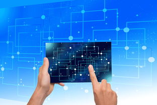 九游体育网址-中国篮球教练员战术执行力提升路径及方法研究，如何提高篮球教练员水平