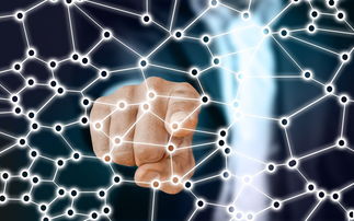 Jiu You-中国足球青训梯队人员年龄层结构，足球青训年龄段