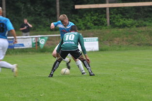 九游娱乐官方平台-天津津门虎残阵抗衡山东泰山，末轮为阻击上海申花留力，天津津门虎最新赛程